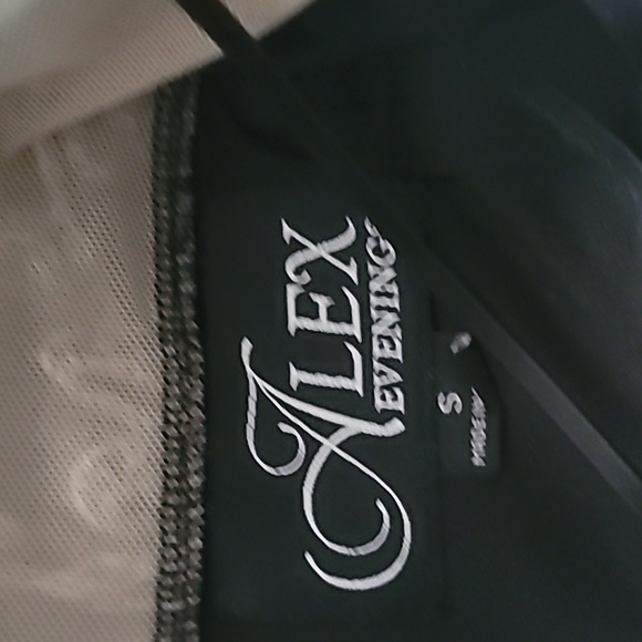 ALEX EVENINGS Allover SoutaTull Trim Embellished Tulle Blouse - Picture 9 of 9